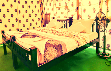 Luxury Camp